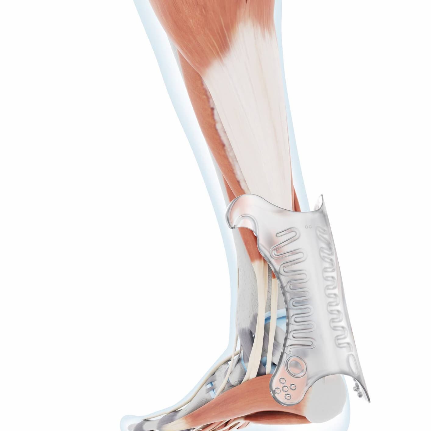 AchilloTrain Ankle Support